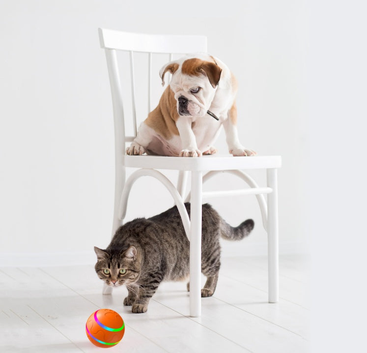 Pet Cat Wicked Ball Toy Intelligent Automatic Rotation Ball
