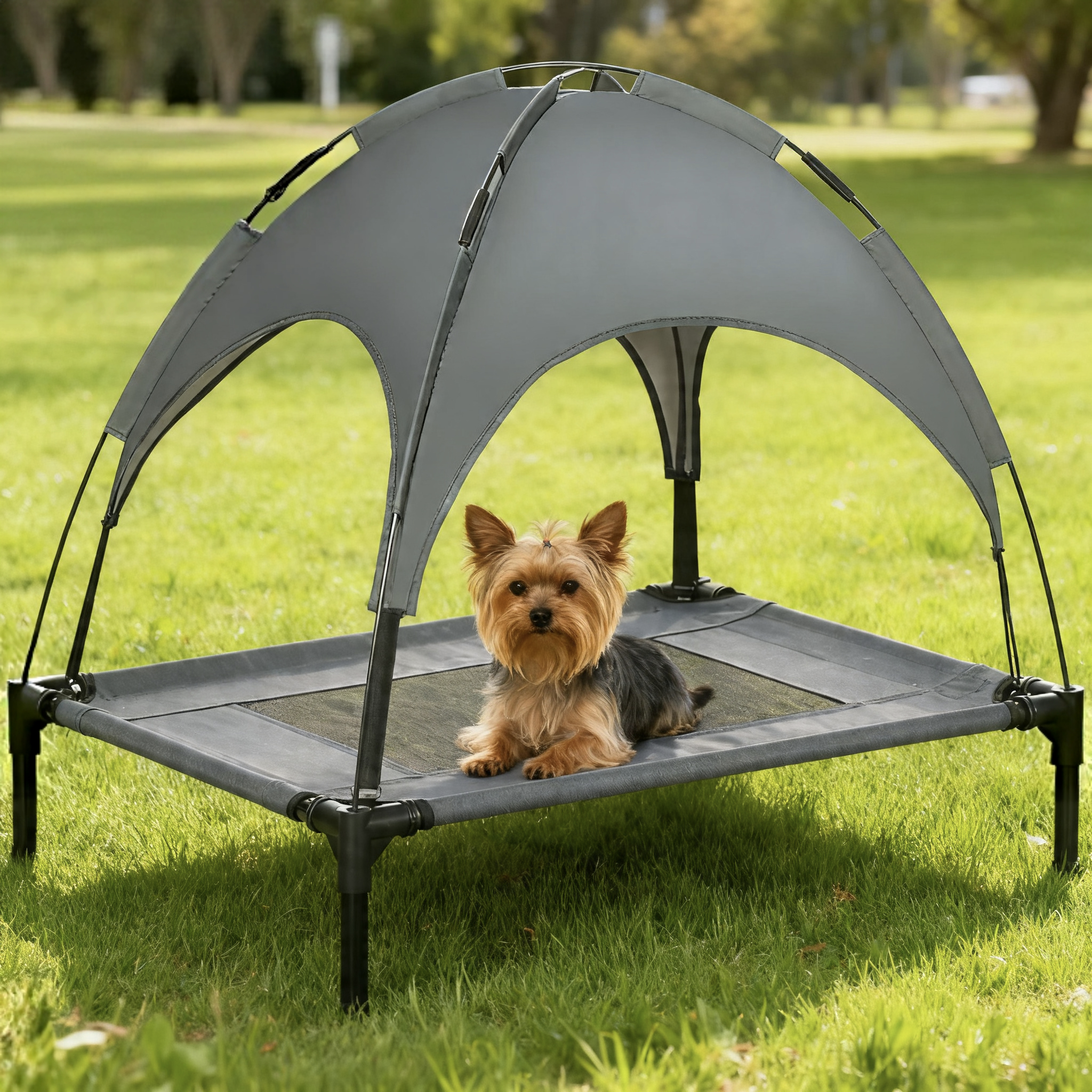 Elevated Dog Bed with Removable Canopy