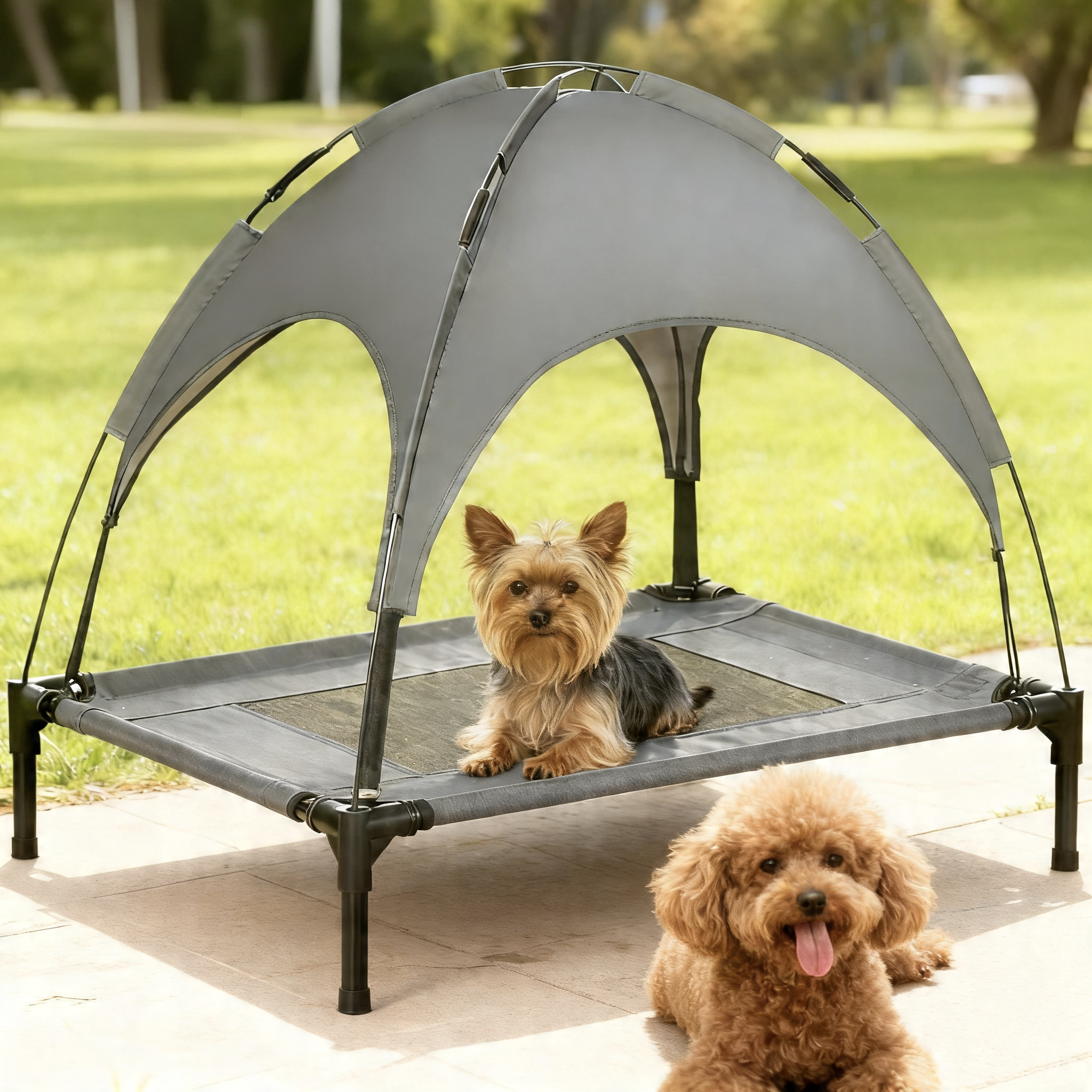 Elevated Dog Bed with Removable Canopy